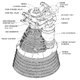 Illustration for article titled NASAs Next Rocket Engine Could Be A Blast From the Past